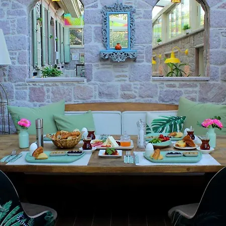 Ina Cunda Art Ayvalı